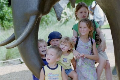 IMG017.jpg