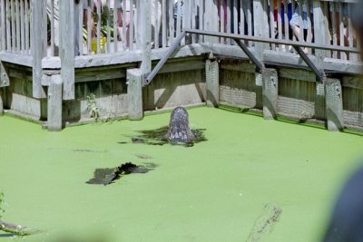 IMG011.jpg