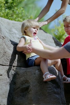 IMG018.jpg