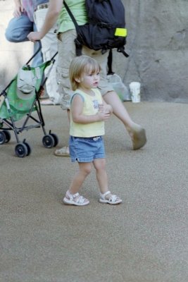 IMG025.jpg