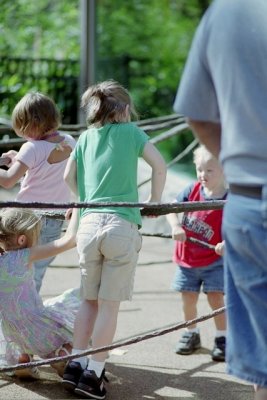 IMG030.jpg