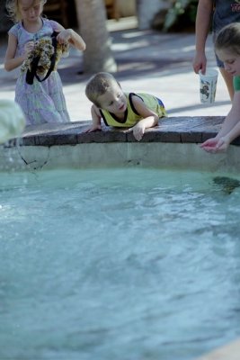 IMG016.jpg