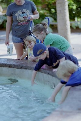 IMG017.jpg