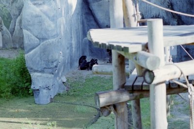 IMG037.jpg