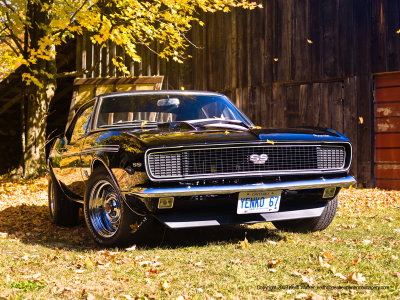 John's Baby - 1967 Yenko Camaro