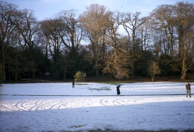 Winter snow, Hampstead Heath, London