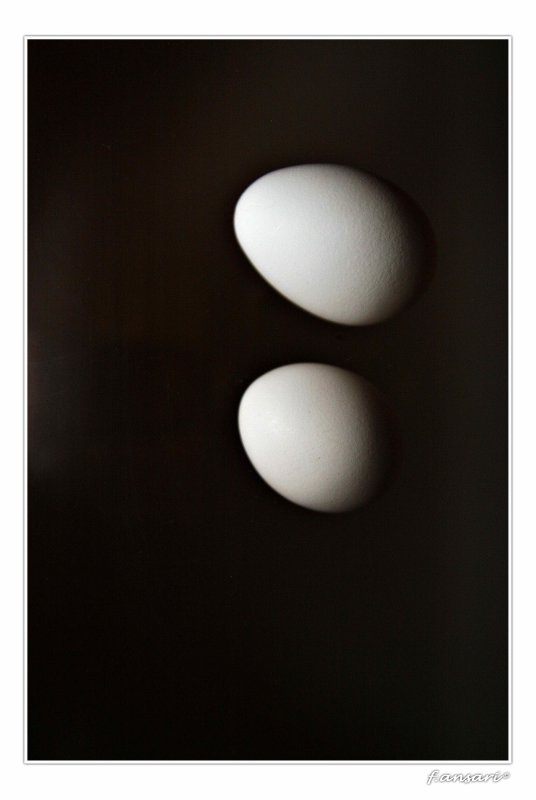 Dark Egg