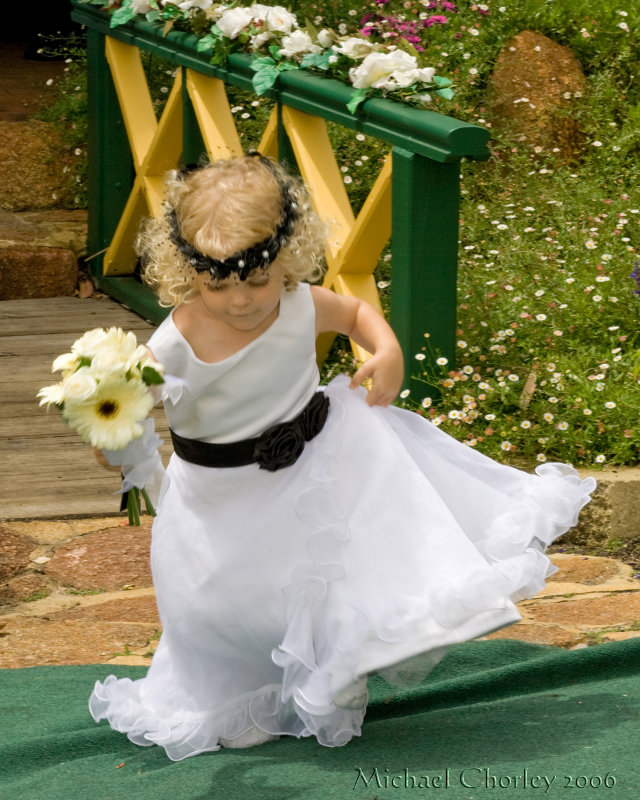 Corey and Karens Wedding