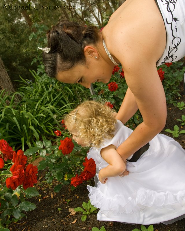 Corey and Karens Wedding
