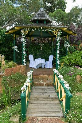 Corey and Karen's Wedding