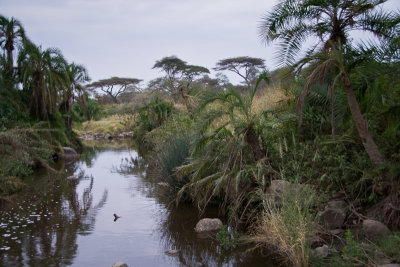 Tanzania 2007 Sceneries