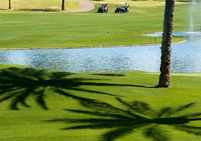 Arizona in March