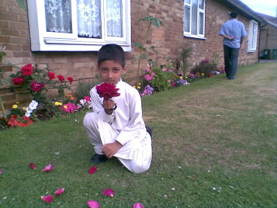 hamad watford