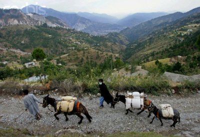 Kashmir