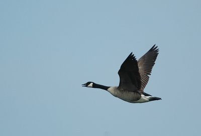 g5/72/859872/3/100206208.F6CJmFE5.jpg