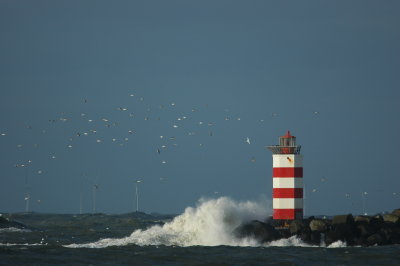 Noordpier