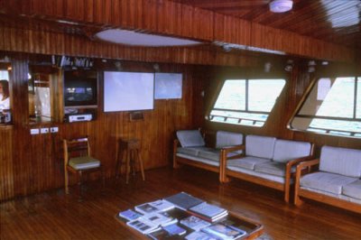 g5/72/89072/3/67634145.tOkJLWpW.jpg