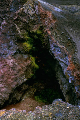 g5/72/89072/3/67663355.sLxV91r3.jpg