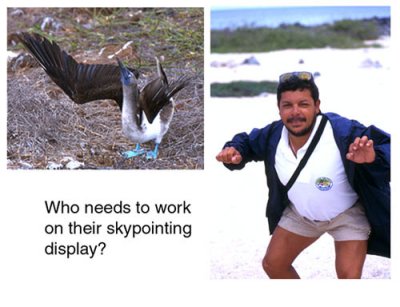 Our naturalist guide Ernesto imitating sky pointing display