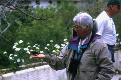 Marsha feeding finches at Jacqueline De Roy's