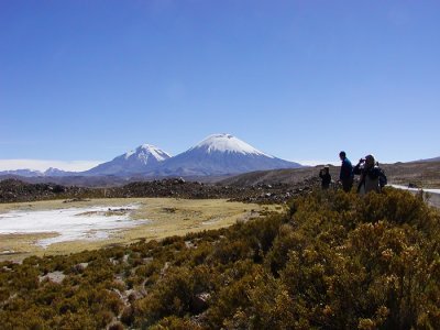 Lauca National Park