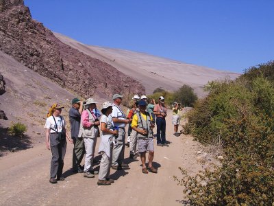 Birding near Putre