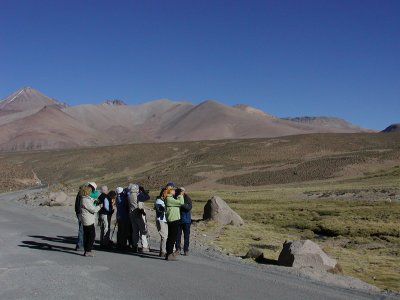 Birding at Lauca National Park