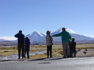 Birding in the shadow of the Payachatas volcanos