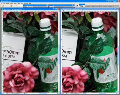 Screen_Shot1DMKII_vs_20D-RIT-FLEXS_fp2s-a.jpg