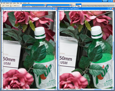 Screen_Shot1DMKII_vs_20D-ACR-Unsharpened-a.jpg