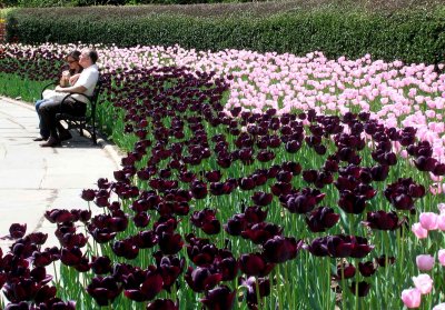Central Park Conservancy