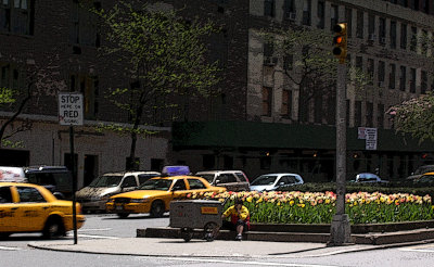 Park Ave.