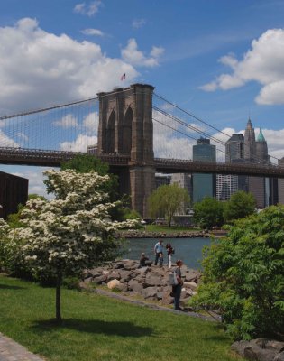 Springtime Bridge