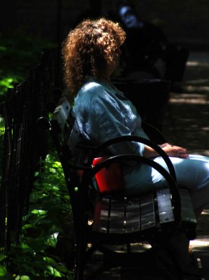 Light and Shadow on a Bench