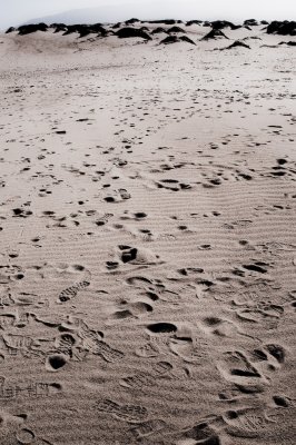 20081130-DSC_1112.jpg