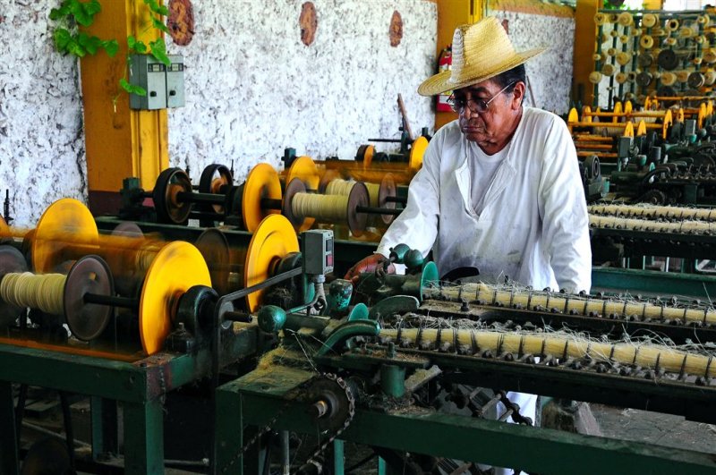 Don Miguel Runs Sisal Rope Production, Sisal Hacienda on Yucatan