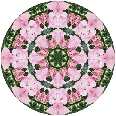 Kal653-circle.jpg