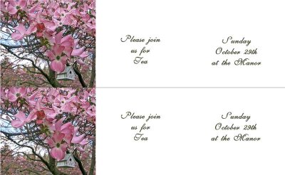 Z-Fold-Card.jpg