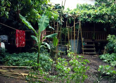 cornwall:Eden Project