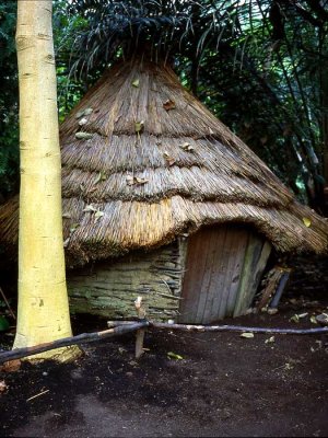 Cornwall-Eden Project
