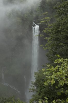 g5/73/560273/3/67816755.NCmhEE0Y.jpg