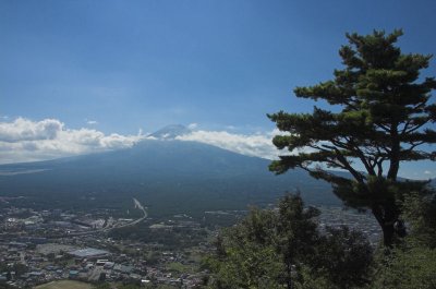 g5/73/560273/3/67821941.0l2j8y8G.jpg
