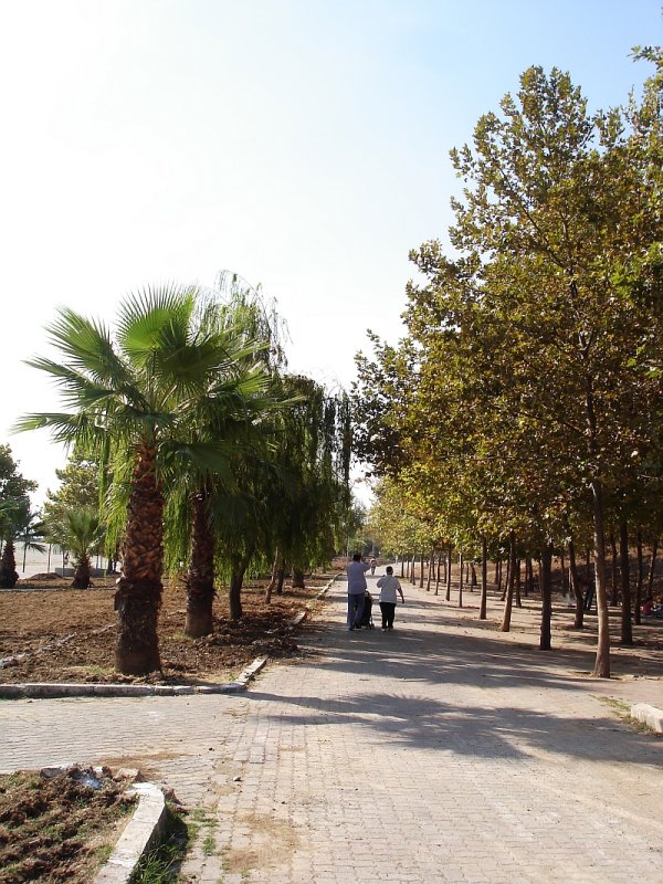 Istanbul Yesilkoy The Sea6.jpg