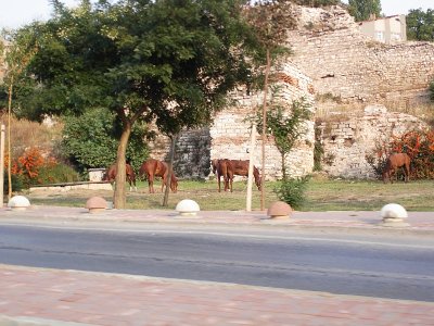 Istanbul93 Atlar.jpg
