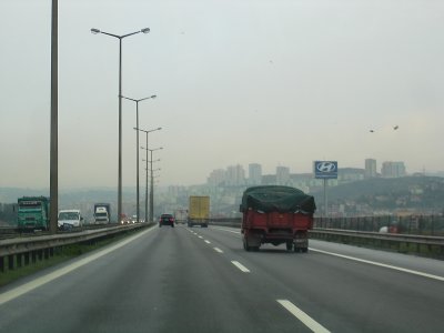 Along road.jpg