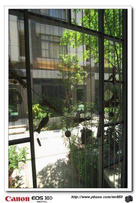 2008.6.14O: sˤFY