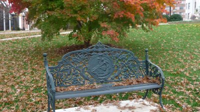 An ornate bench underneath a tree changing colors in November.