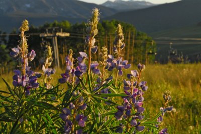 DSC_2603.JPG