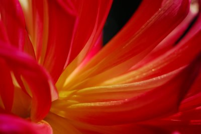 DSC_2415.JPG