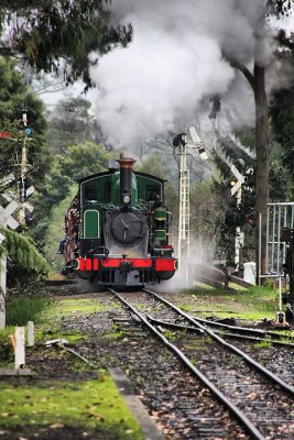 Puffing Billy down the line